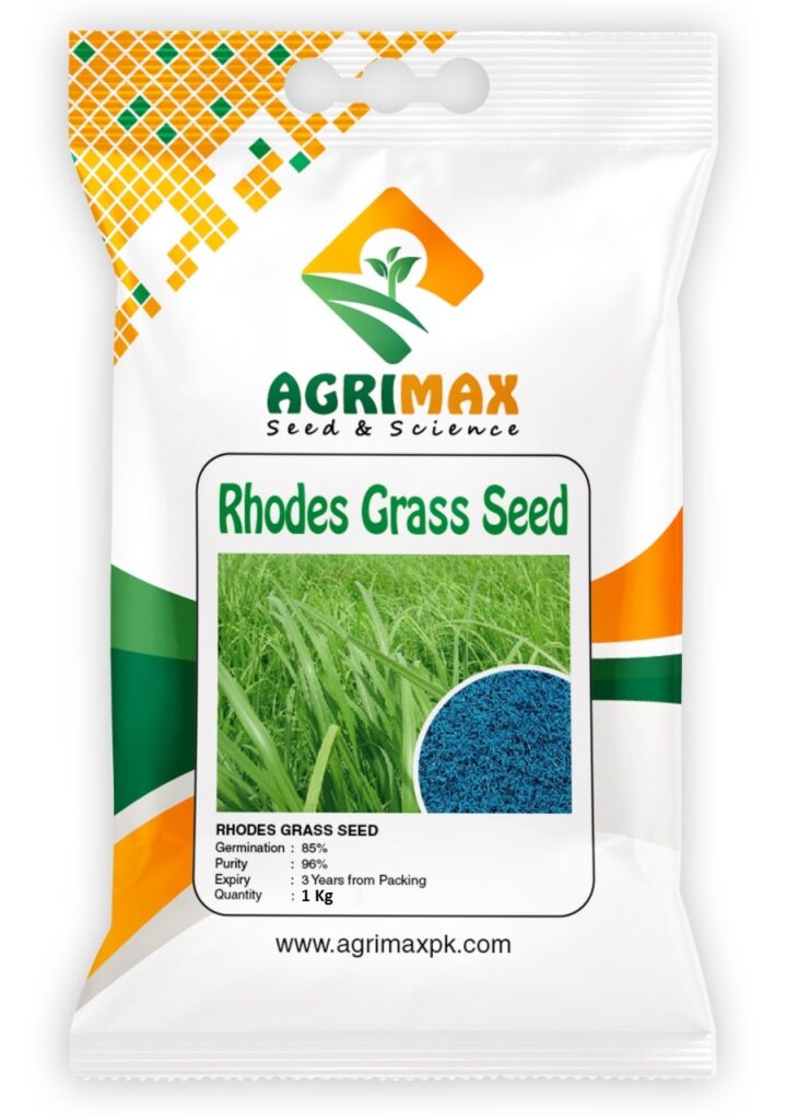 Rhodes Grass Seed